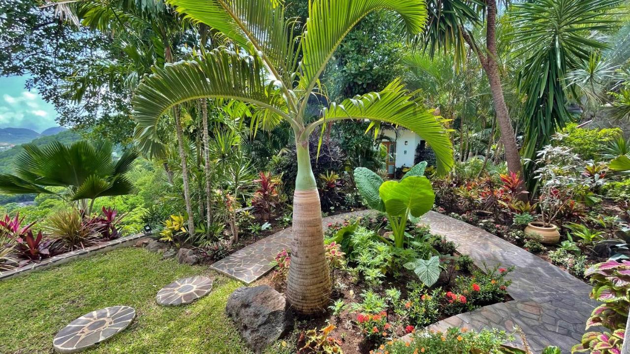 Tropical Hideaway Port Elizabeth Exterior foto