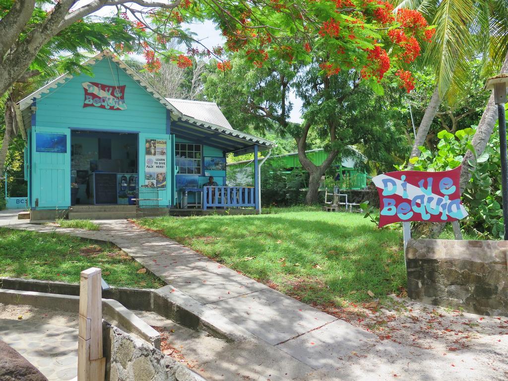 Tropical Hideaway Port Elizabeth Exterior foto