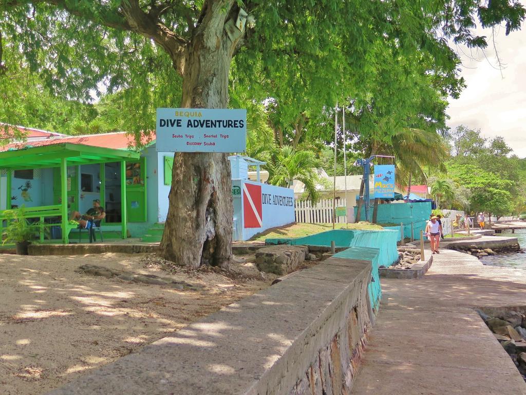 Tropical Hideaway Port Elizabeth Exterior foto
